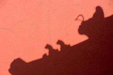 知名爆料人称《生化危机9》会登陆PS4与Switch2平台